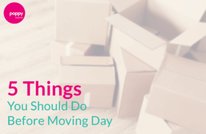 Read more about the article Five Things You Should Do Before Moving Day