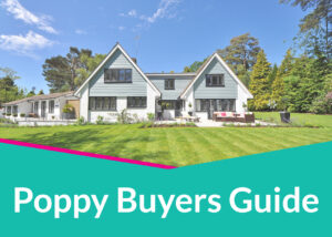 Read more about the article Buyers Guide